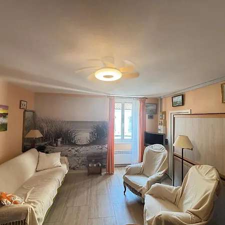 Cosy Pour 2 à 50m De La Plage, Centre-ville, équipé - Fr-1-197-507 Appartement