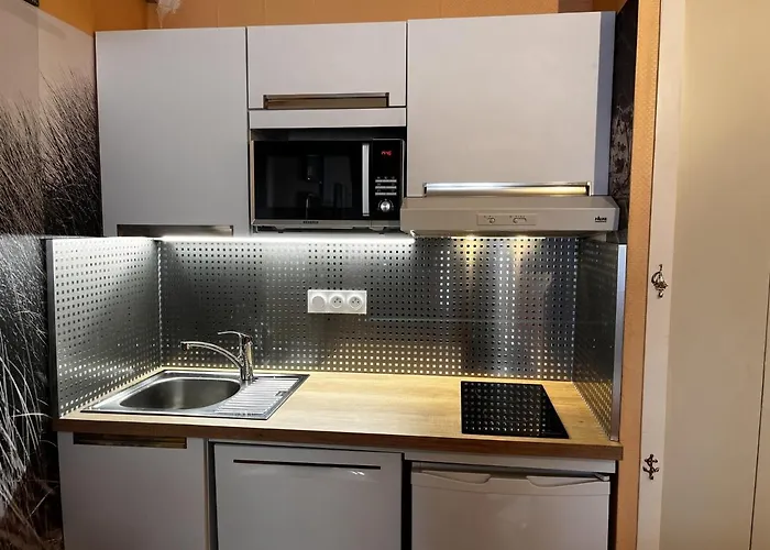 Cosy Pour 2 A 50m De La Plage, Centre-ville, Equipe - Fr-1-197-507 *